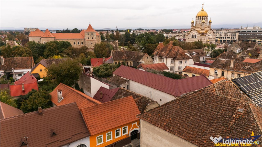 Casa pretabila: comercial servicii rezidential investitio