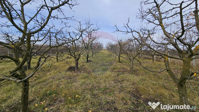 Teren extravilan 10,791mp Falticeni / Strada DJ209A, Opri... 