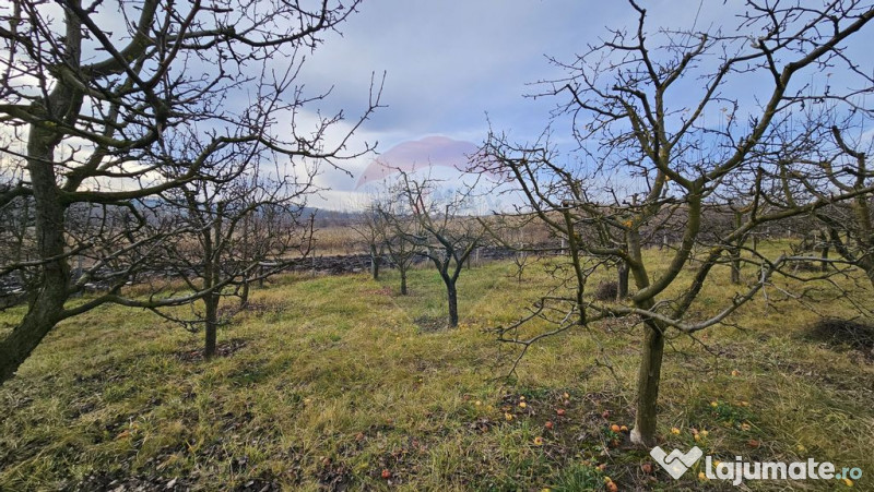 Teren extravilan 10,791mp Falticeni / Strada DJ209A, Opri... 