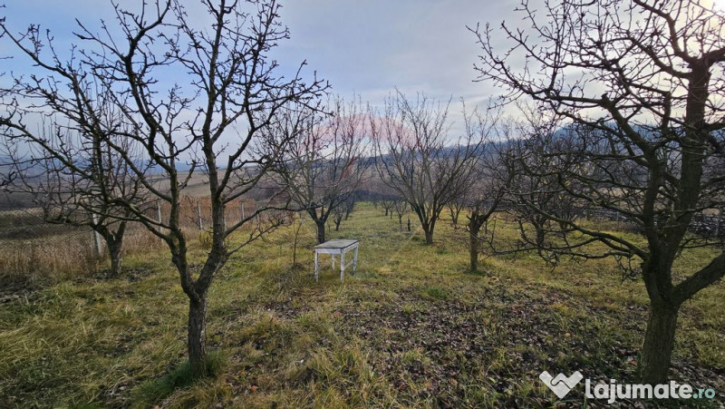 Teren extravilan 10,791mp Falticeni / Strada DJ209A, Opri... 