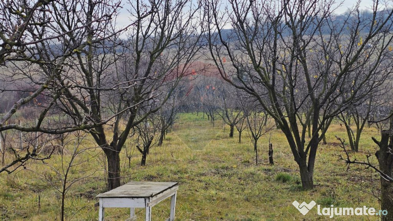 Teren extravilan 10,791mp Falticeni / Strada DJ209A, Opri... 