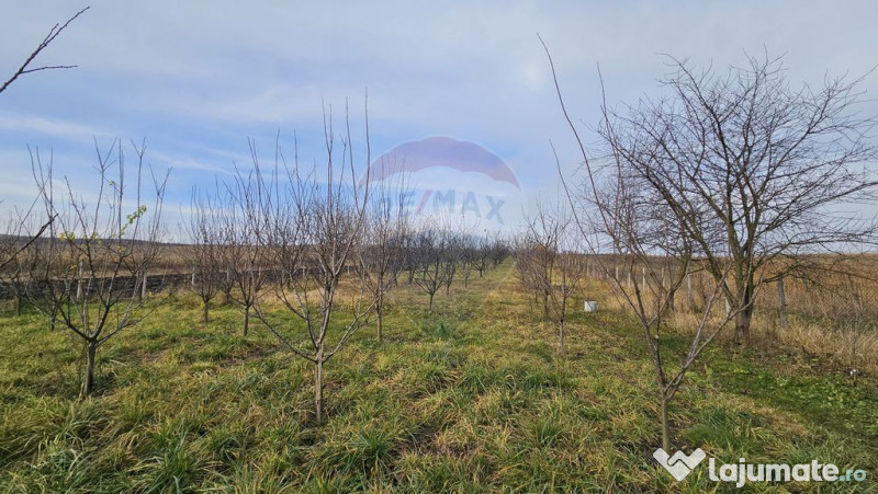 Teren extravilan 10,791mp Falticeni / Strada DJ209A, Opri... 