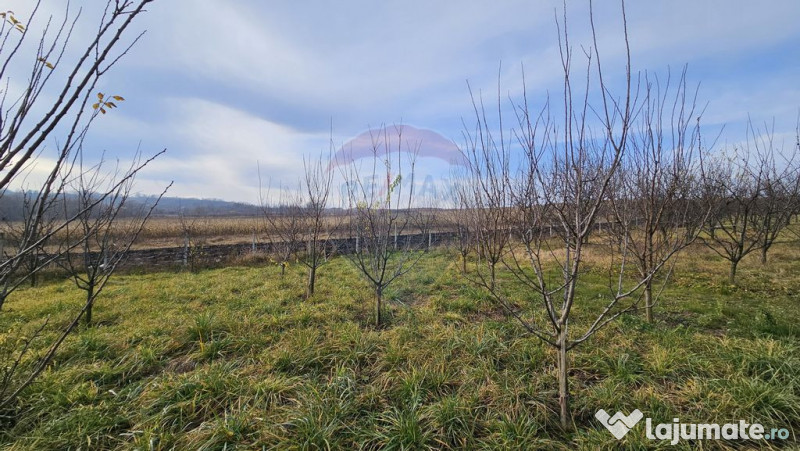 Teren extravilan 10,791mp Falticeni / Strada DJ209A, Opri... 