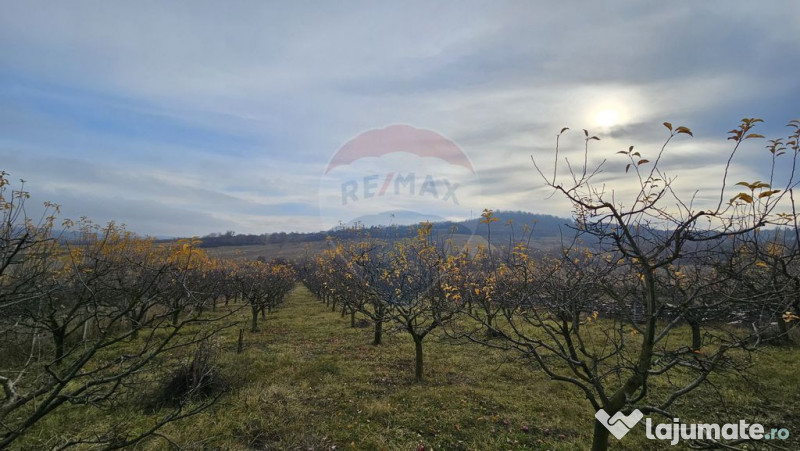 Teren extravilan 10,791mp Falticeni / Strada DJ209A, Opri... 