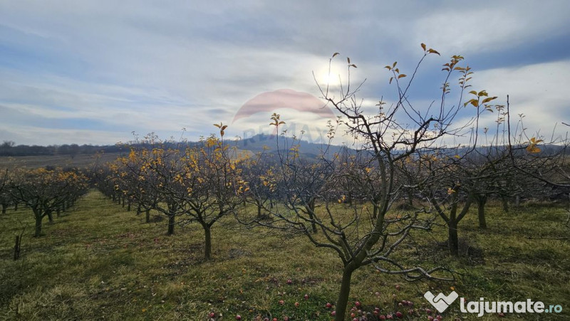 Teren extravilan 10,791mp Falticeni / Strada DJ209A, Opri... 