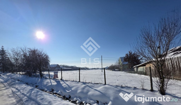 Teren cu suprafata 5300 mp intravilan 