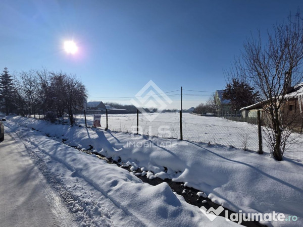 Teren cu suprafata 5300 mp intravilan 