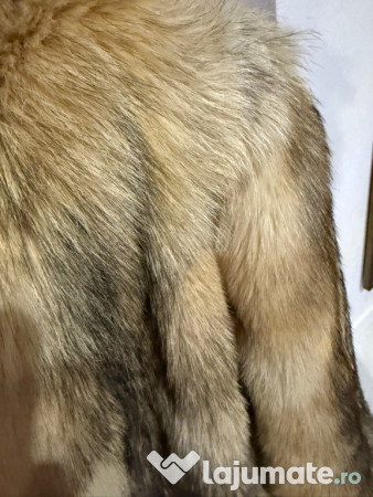 Blană vulpe M, fără defecte