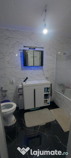 Proprietar, Timisoara casa cu doua apartamente 