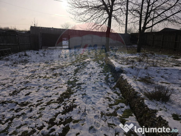 Teren Bals / Strada Nicolae Titulescu nr 110 