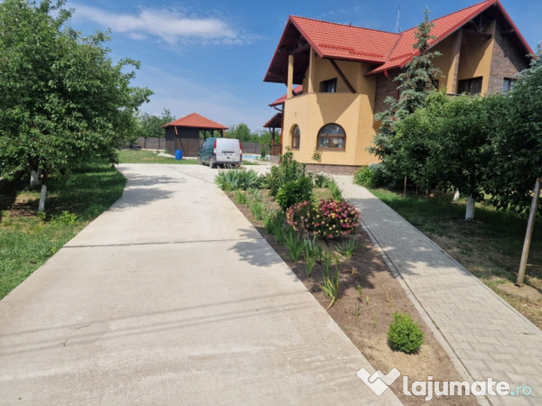 Proprietate deosebita, ocazie de investitie, Cosula, Botosani 