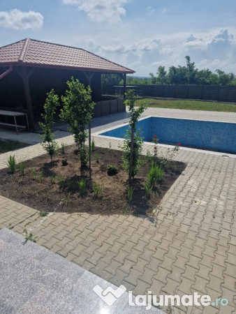 Proprietate deosebita, ocazie de investitie, Cosula, Botosani 