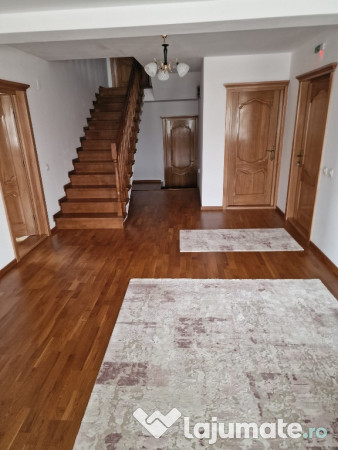 Proprietate deosebita, ocazie de investitie, Cosula, Botosani 