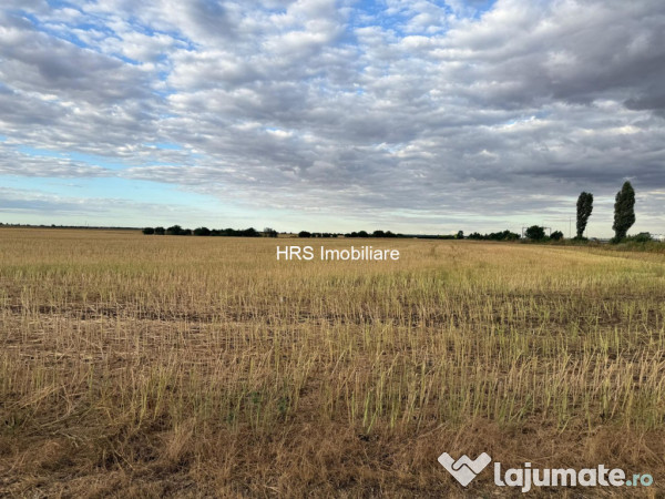 Teren intravilan Branesti 