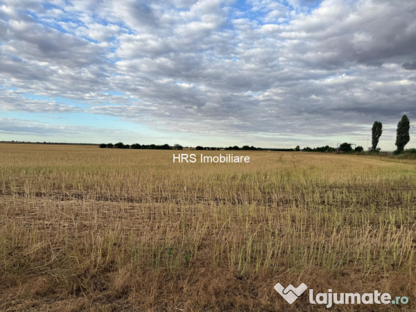 Teren intravilan Branesti 