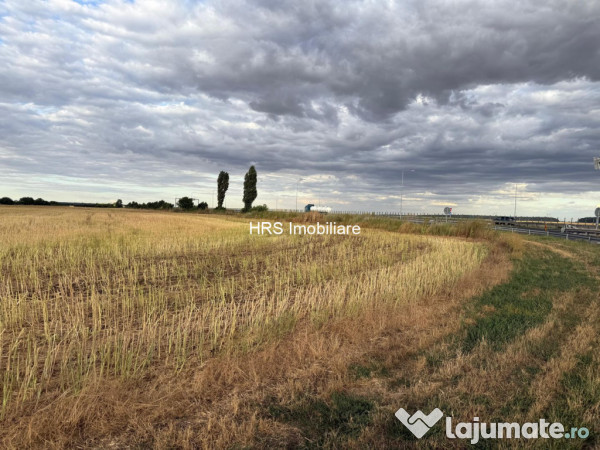 Teren intravilan Branesti 