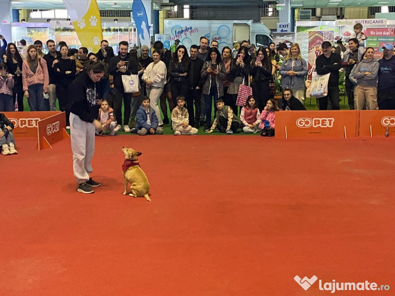 PetExpo Romania, 14-15 martie, targul dedicat animalelor de companie 