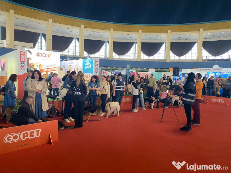 PetExpo Romania, 14-15 martie, targul dedicat animalelor de companie 