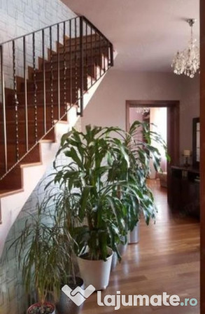 Ideal firma:Matei Voievod-Parcul Ronda 