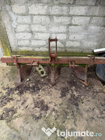 Rarita Detalii la telefon 