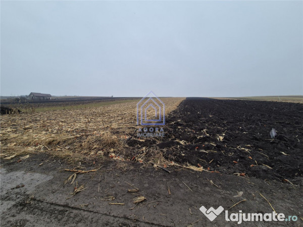 Teren intravilan Moara Carp - zona Ponoare