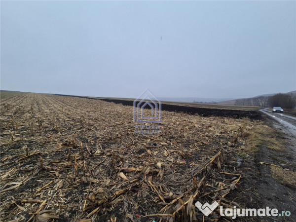 Teren intravilan Moara Carp - zona Ponoare