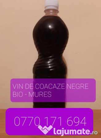 Vin de coacaze negre bio 