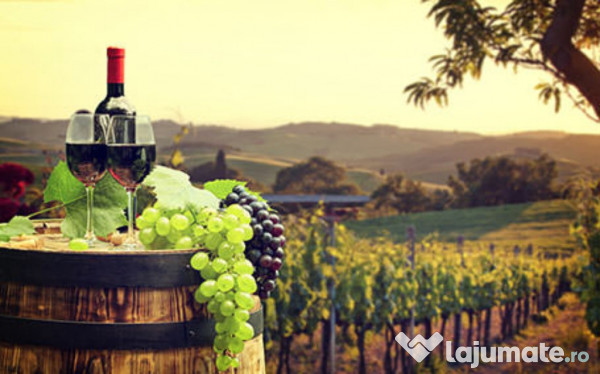 Vin de casă 100% natural bio struguri 