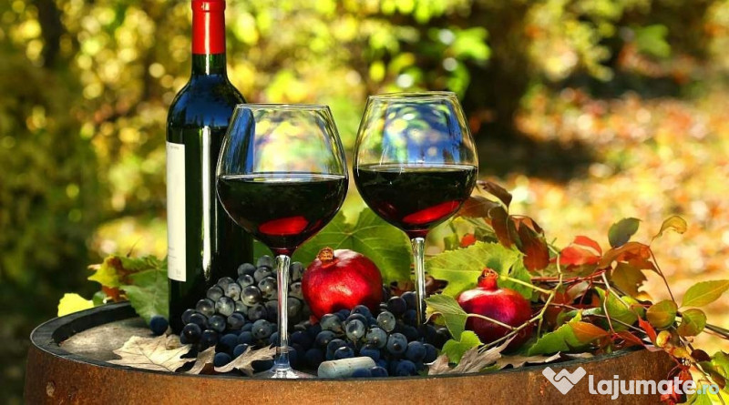 Vin de casă 100% natural bio struguri 