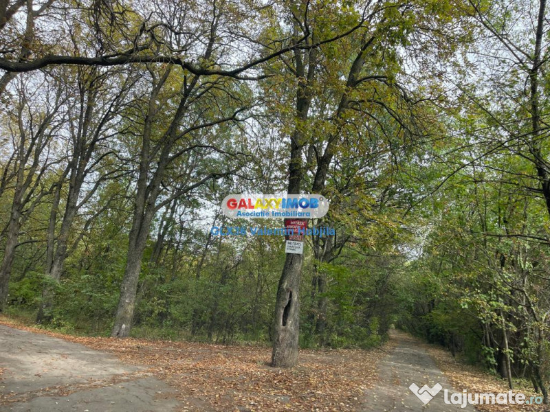 Teren 3300 mp Peris -deschidere padurea Scrovistea 
