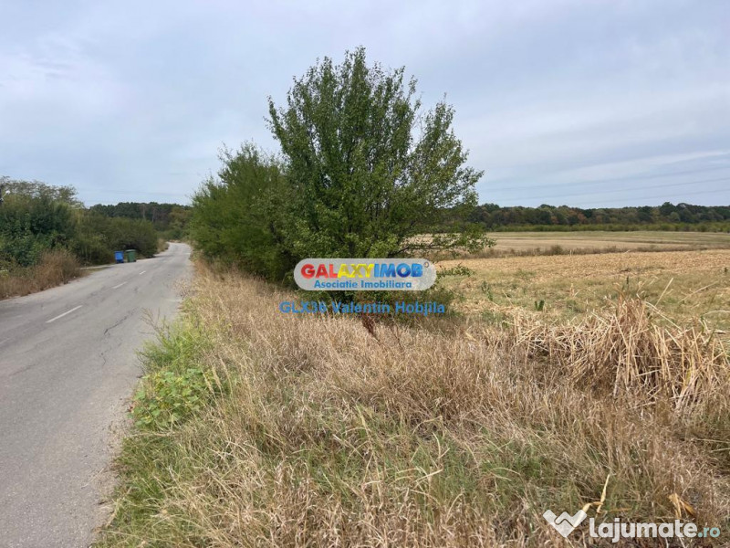 Teren 3300 mp Peris -deschidere padurea Scrovistea 