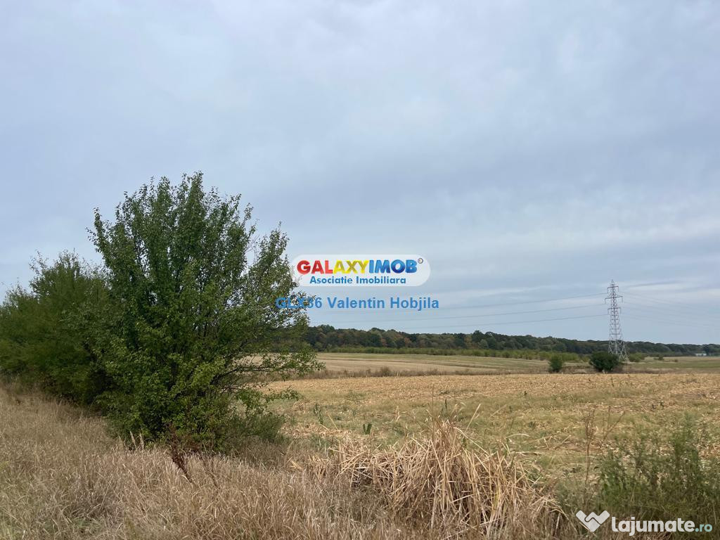 Teren 3300 mp Peris -deschidere padurea Scrovistea 