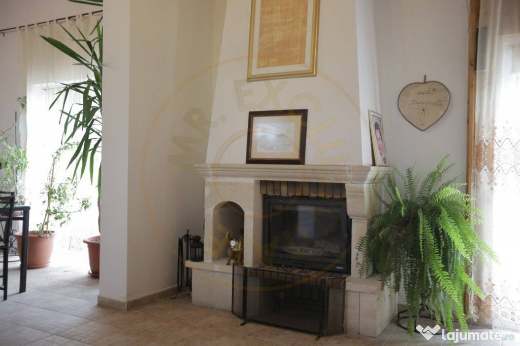 Pensiune in zona de munte-Baia de Fier 