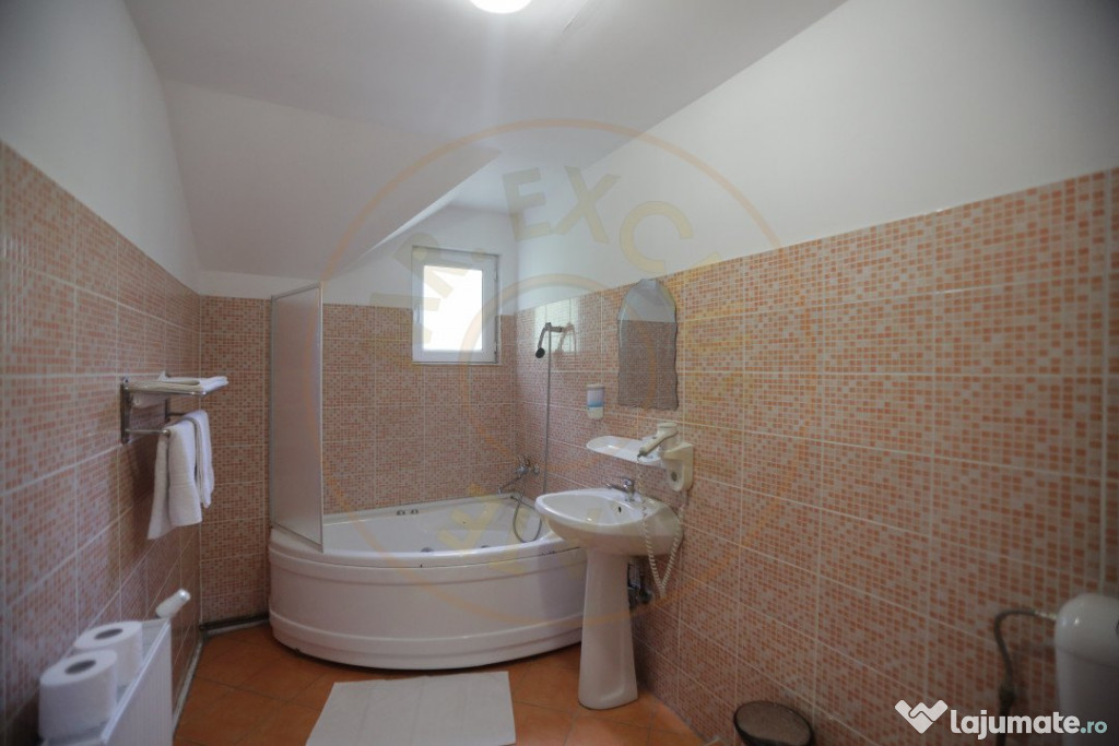 Pensiune in zona de munte-Baia de Fier 