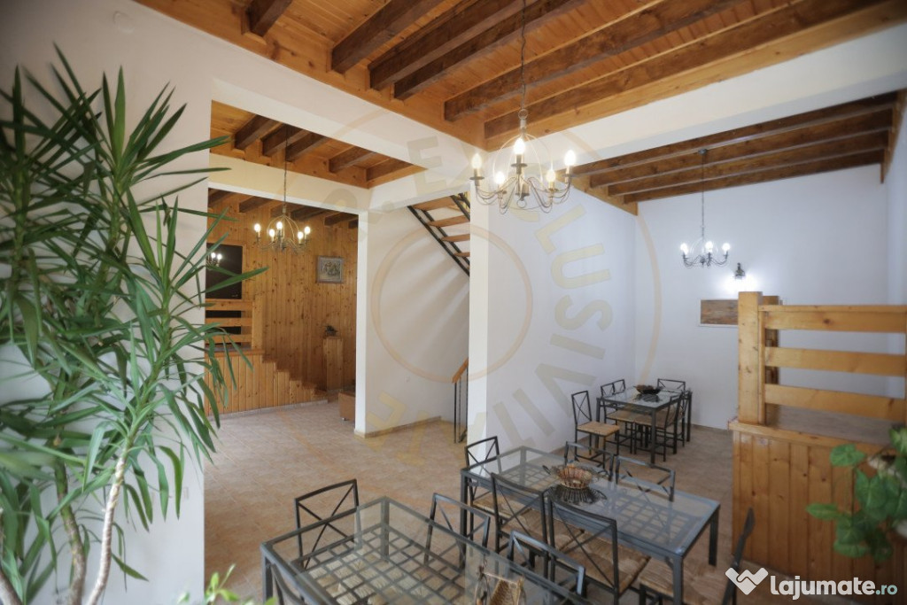 Pensiune in zona de munte-Baia de Fier 