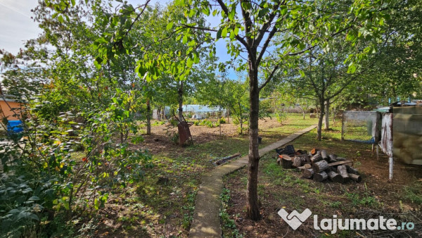 BAICOI - casa P+E, ter-1354mp, pret. locuinta/activ. comerci 