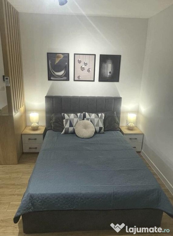 Apartament cu o camera in Centru 