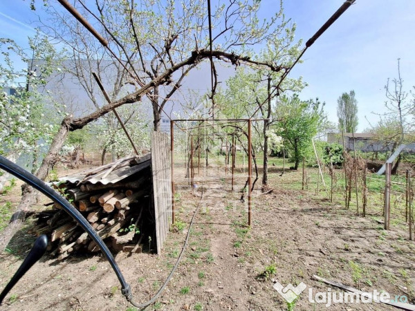 Casa “la gri” cu gradina, zona Calea Aurel Vlaicu - B...