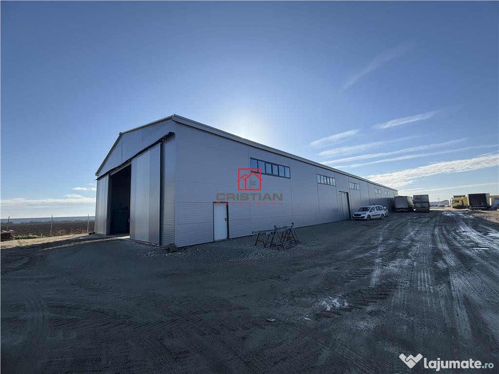 Depozit/hala/spatiu industrial Bolintin Deal - A1 - KM23 