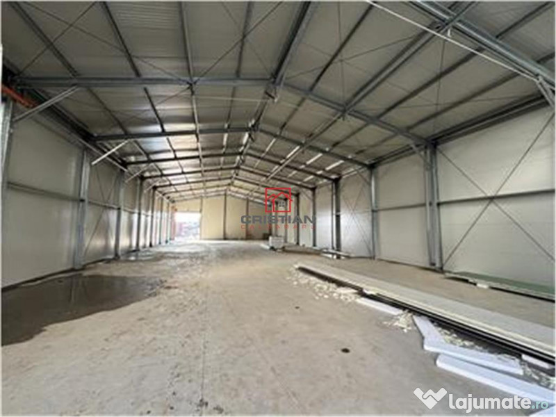 Depozit/hala/spatiu industrial Jilava - Giurgiului - Progr 
