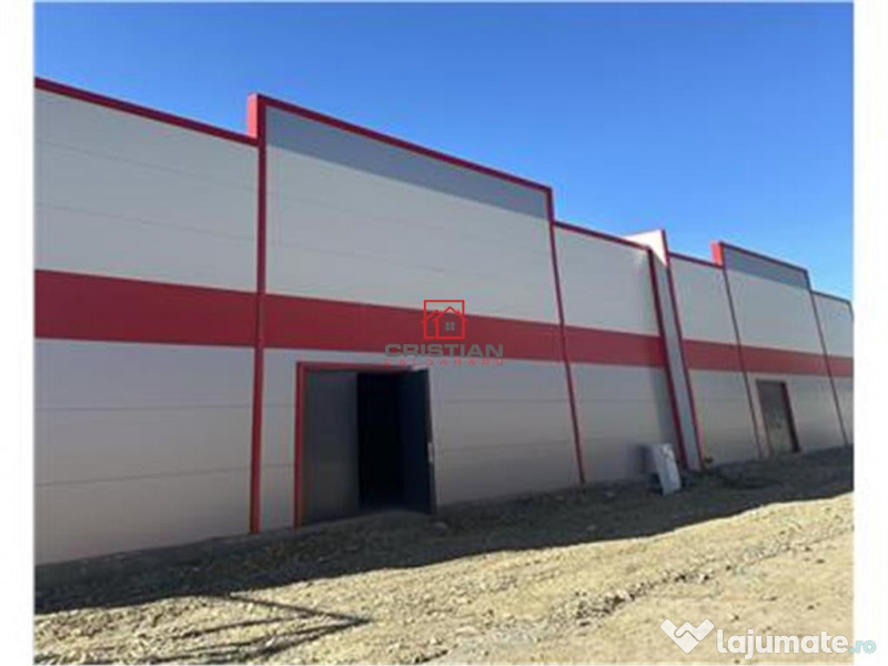 Depozit/hala/spatiu industrisl Jilava - Giurgiului - Progre 