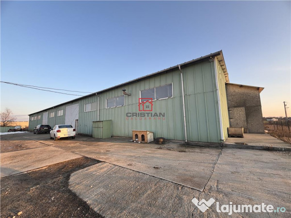 Depozit/hala/spatiu industrial Chiajna - Ciorogarla - A0 - 