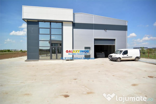 Hala 590 mp Chitila Rudeni- centura