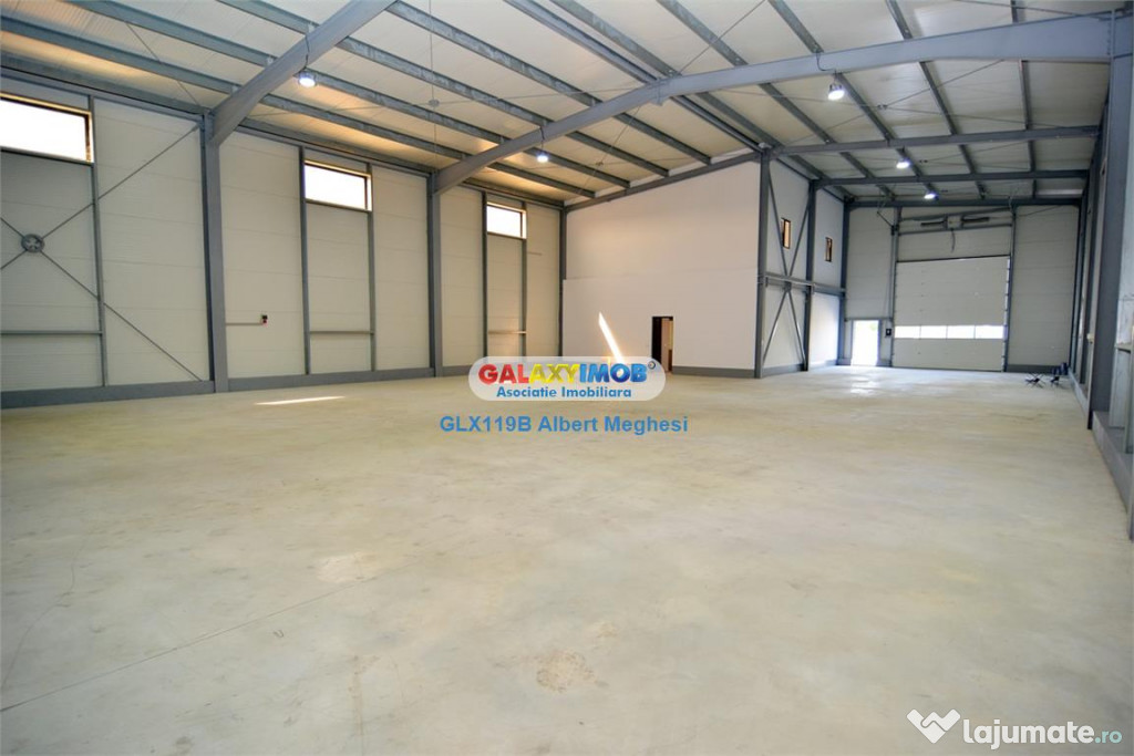 Hala 590 mp Chitila Rudeni- centura