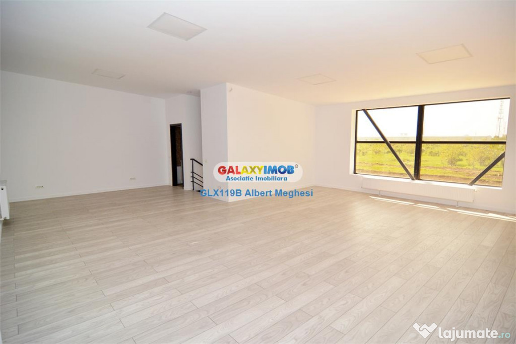 Hala 590 mp Chitila Rudeni- centura