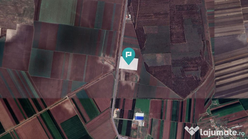 Teren Industrial în Glina, Jud. Ilfov 