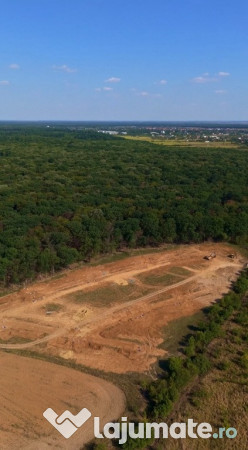 Teren 459mp deschidere la padurea Snagov! Mega reduceri de pret 