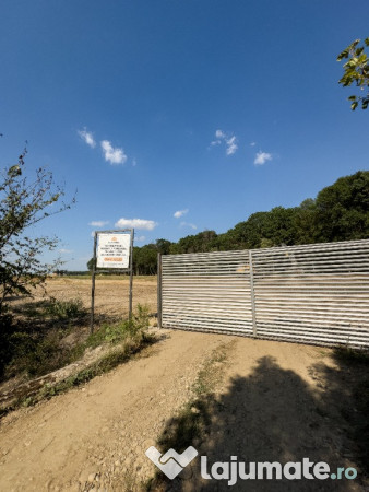 Teren 459mp deschidere la padurea Snagov! Mega reduceri de pret 