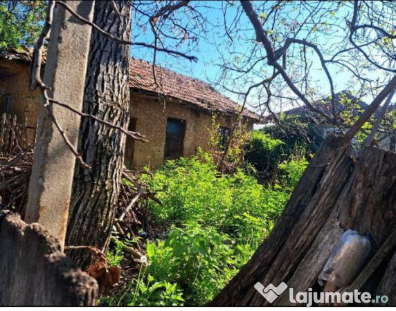 Cota de 1/2 din casa si teren- sat Poroinița, Comuna Rog... 