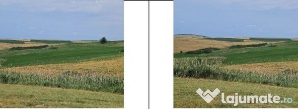 Teren Extravilan Aroneanu, ID: R2577828 